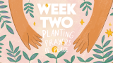 Week Two