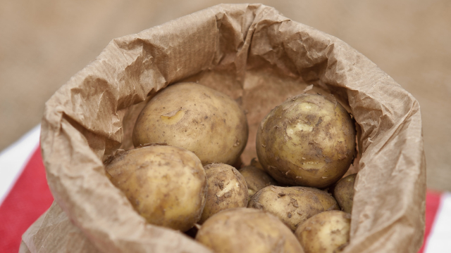 potatos_paper_bag_unsplash