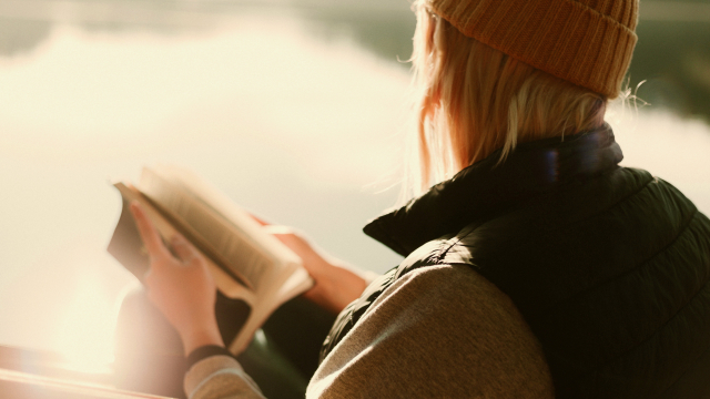 reading_bible_bench_unsplash