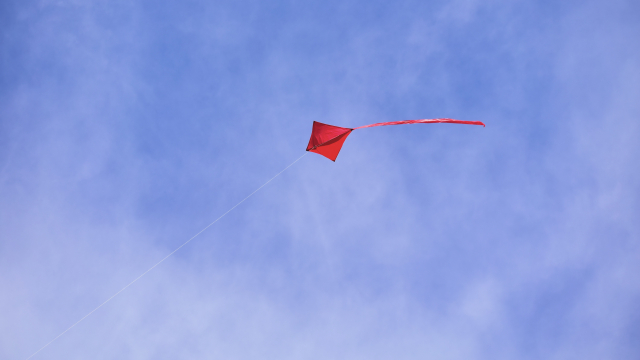 red_kite_flying_unsplash