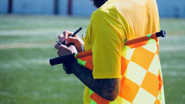 referee_linesman_sports