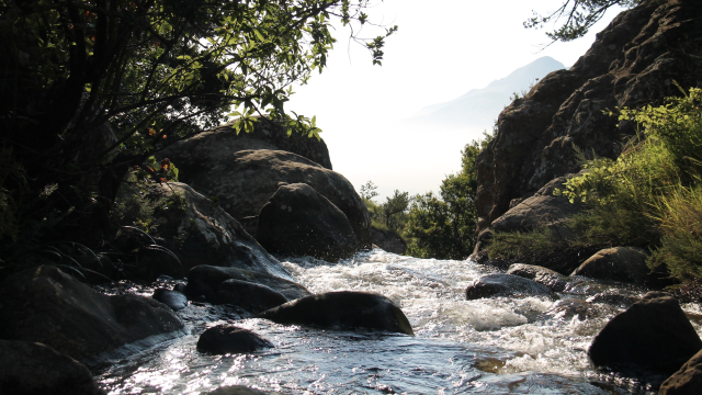 river_mountain_trees_unsplash