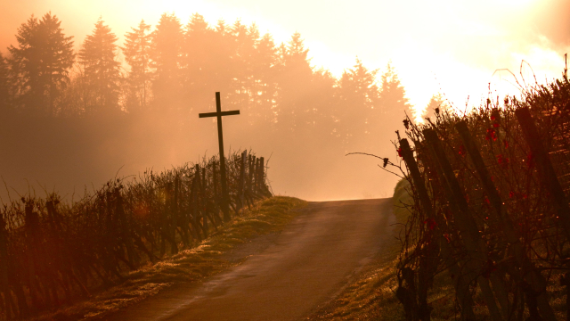 road_cross_sunset_unsplash