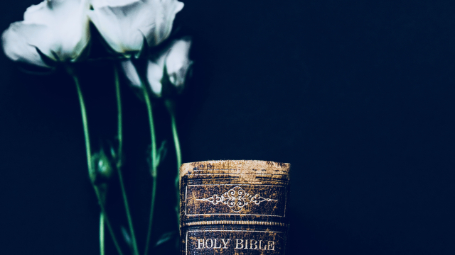 roses_bible_unsplash