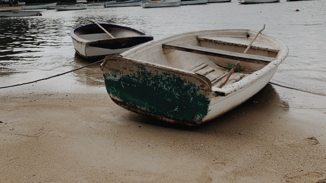 row_boats_beach_unsplash