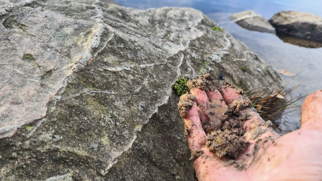 sand_rock_hand_r_kennedy