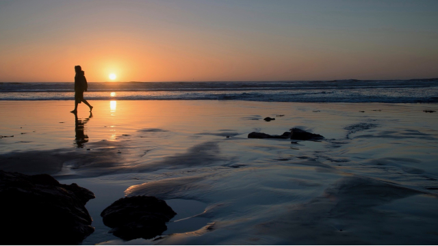 sea_horizon_silhouette_sunrise