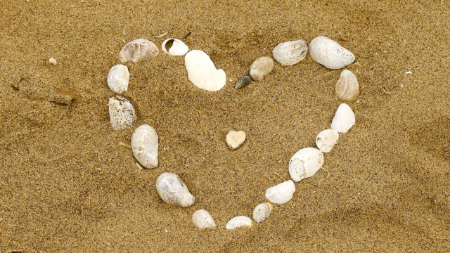 shells_love_heart_beach_unsplash
