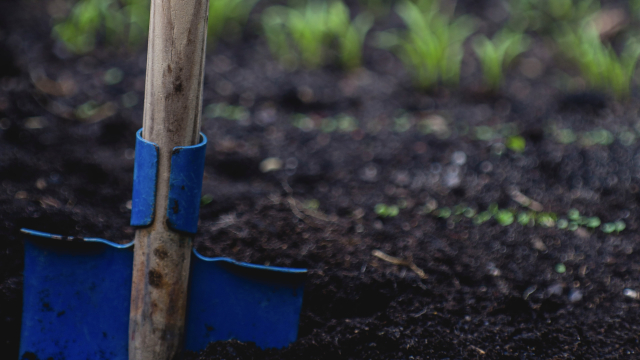shovel_gardening_soil_unsplash