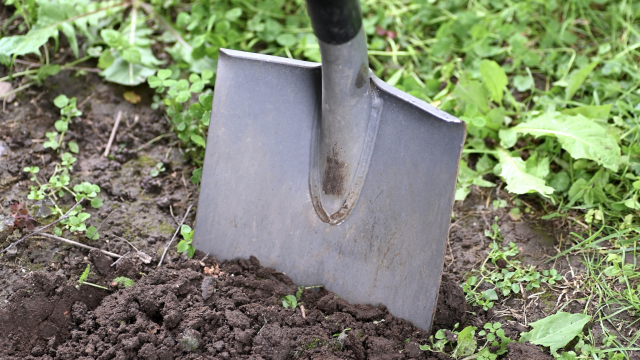 shovel_soil_earth_garden_unsplash