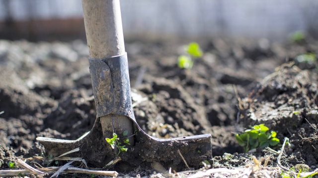 shoveling_garden_ground_weeds