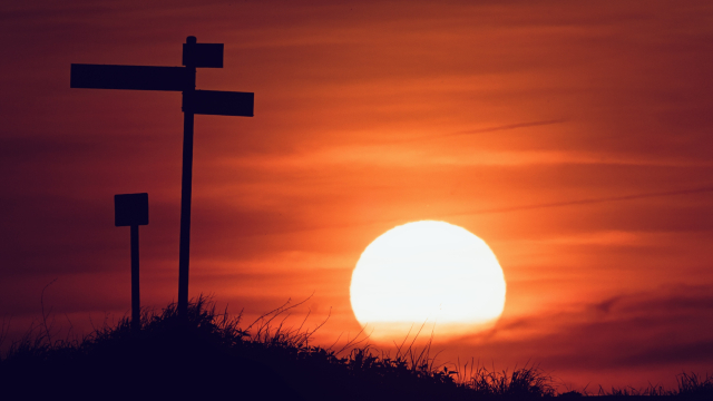 signpost_path_sunset_unsplash