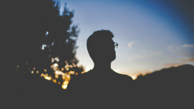 silhouette_man_up_tree_unsplash