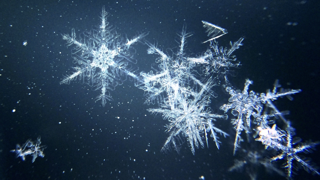snow_flakes_winter_unsplash