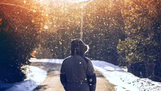 snow_person_parka_sunlight