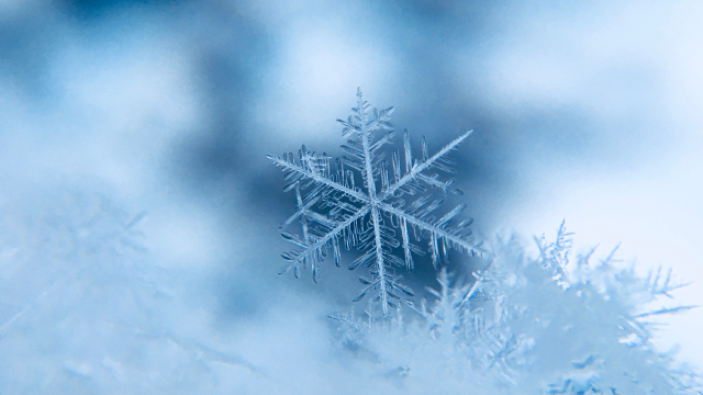 snowflake_winter_unsplash