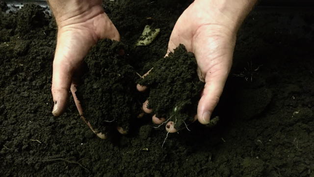 soil_earth_hands_gardening_FR