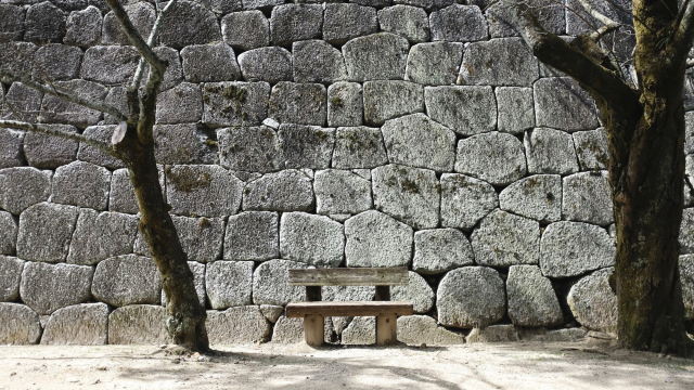 stone_wall_bench_path_trees_unsplash