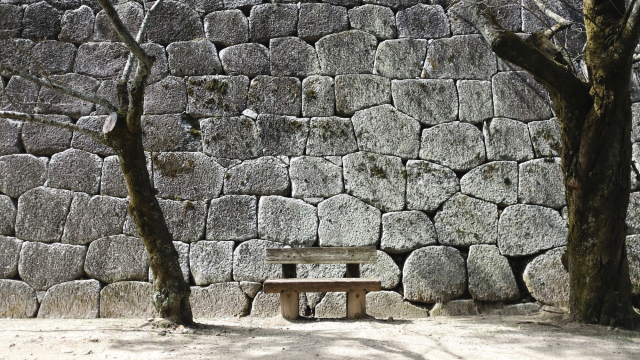 stone_wall_bench_path_trees_unsplash