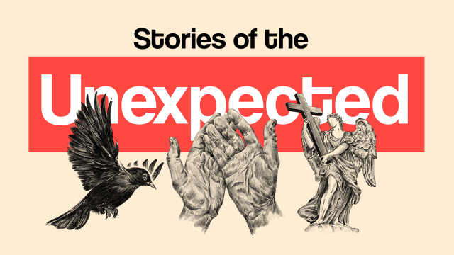 Stories of the Unexpected