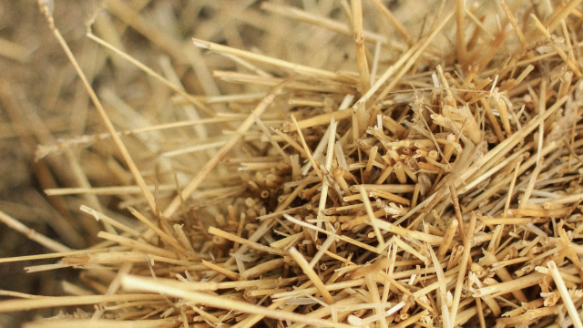 straw_agriculture_farm_unsplash