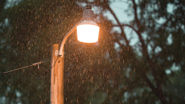 street_light_rain_trees_unsplash