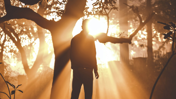 Hope and warning, healing and reckoning