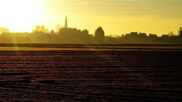 sunrise_golden_field_town