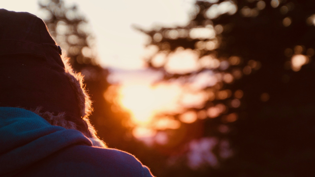 sunrise_wooly_hat_trees