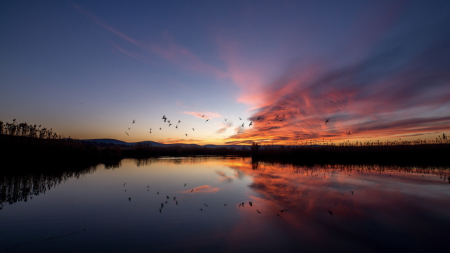sunset_clouds_water_birds_unsplash