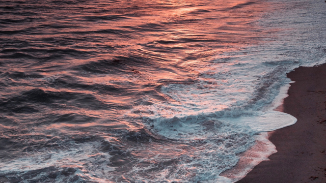sunset_waves_beach_unsplash