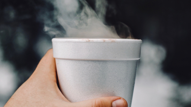 tea_styrofoam_cup_steam