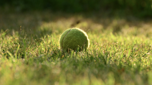 tennis_ball_field_unsplash