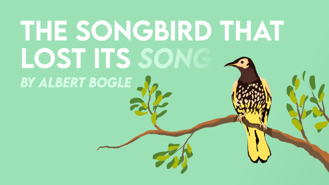 The Songbird That Lost Its Song