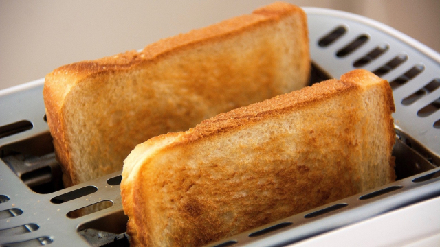 toast_toaster_breakfast