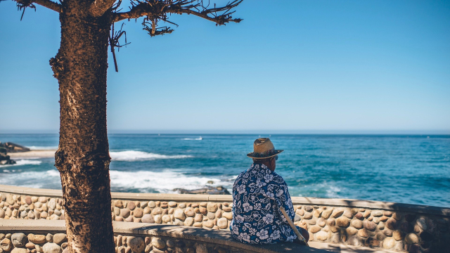 tree_beach_man_sitting