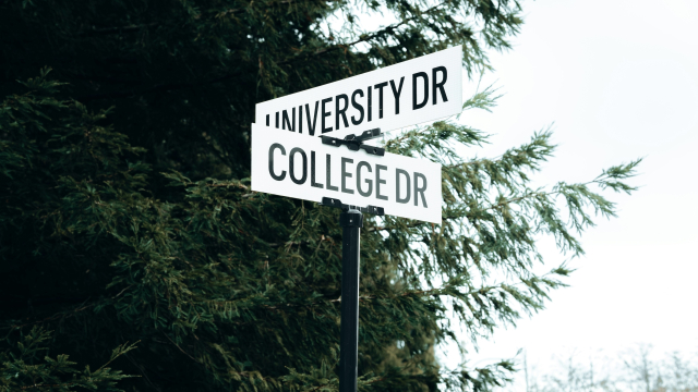 university_college_drive_signs_unsplash