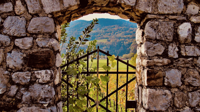 vineyard_gate_stone