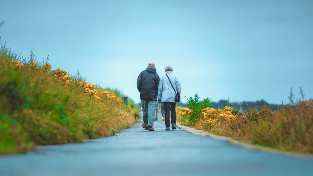 walking_along_together_path