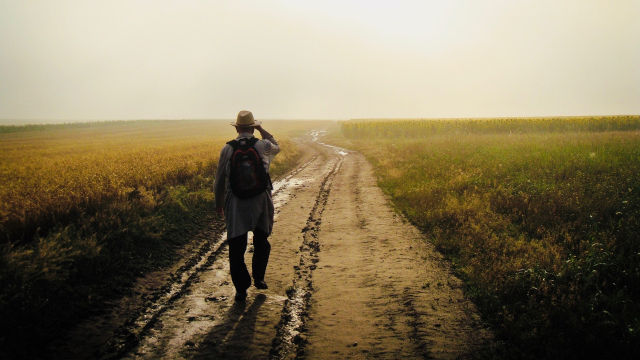 walking_backpack_fields