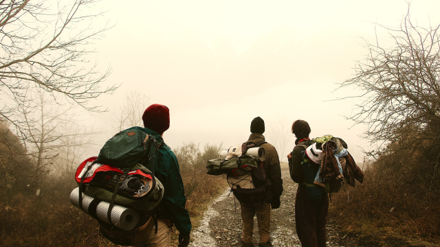 walking_backpacks_path_unsplash