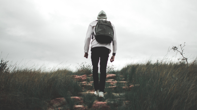 walking_path_backpack_unsplash