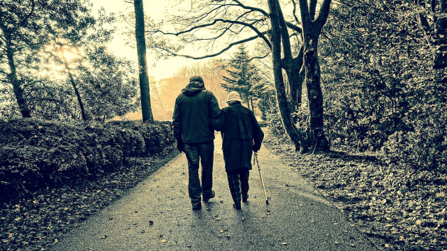 walking_support_winter