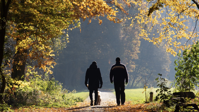 walking_together_forest_unsplash