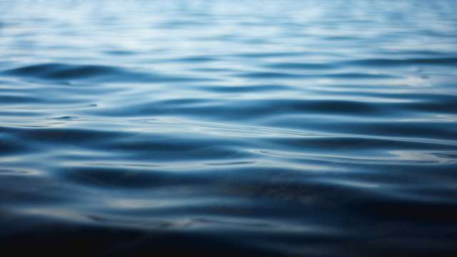 water_surface_sea_unsplash