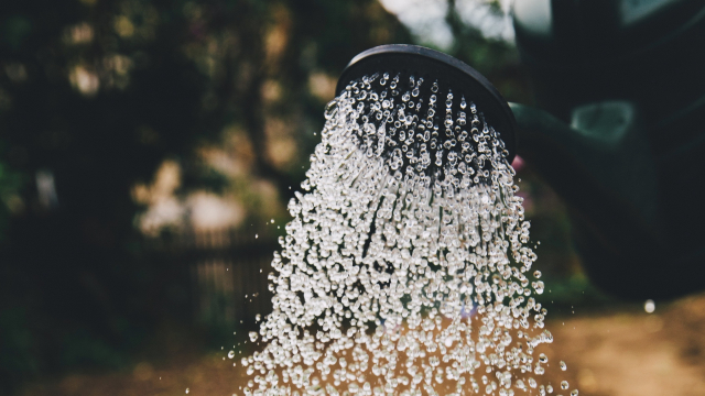 watering_can_gardening_unsplash