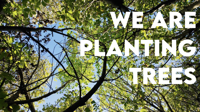 We are planting trees!