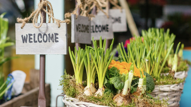 welcome_sign_flower_plant_bulbs_unsplash