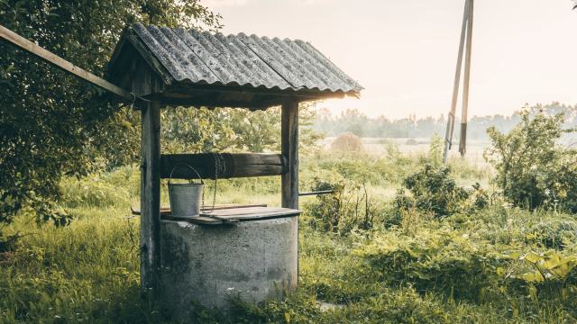 well_bucket_field_unsplash