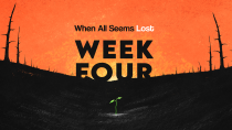 When all Seems Lost - Week Four